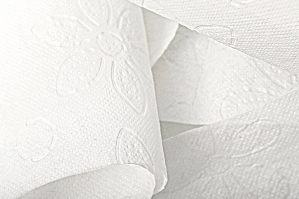 Pulp and Paper Industry
