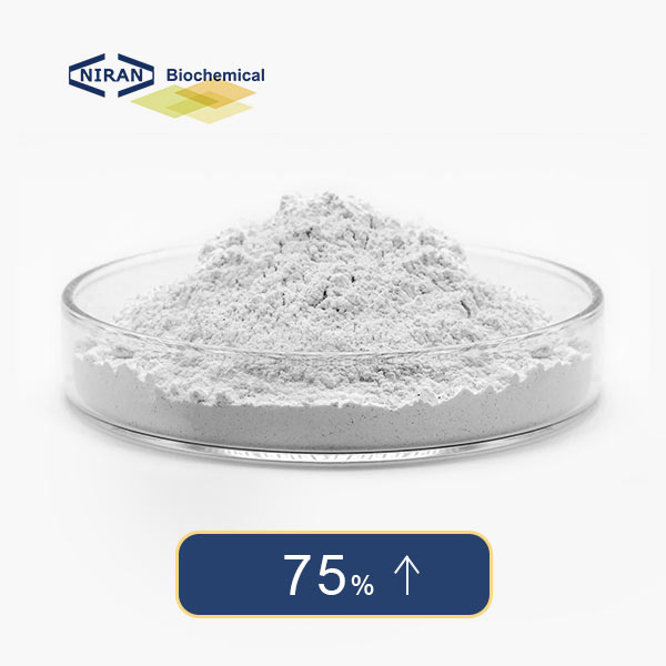 High concentration of Calcium Hypochlorite
